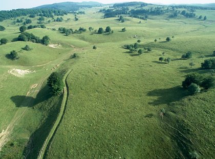 Plateauderetord