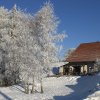 les pelaz en hiver