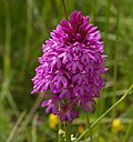 natura 2000 retord