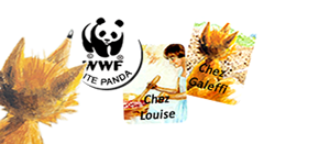 ecogites ain gite panda