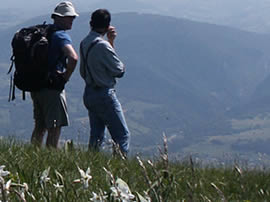 gite rando bugey