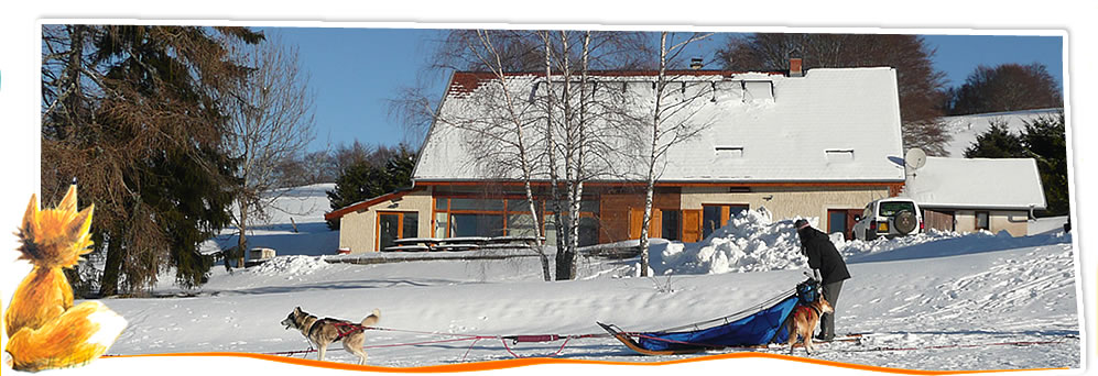 gite rural ski et chiens de traineaux