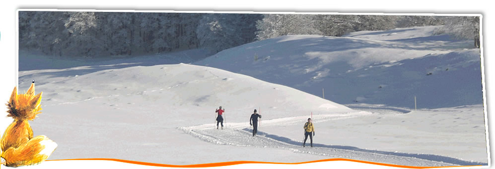 ski de fond plateau du retord